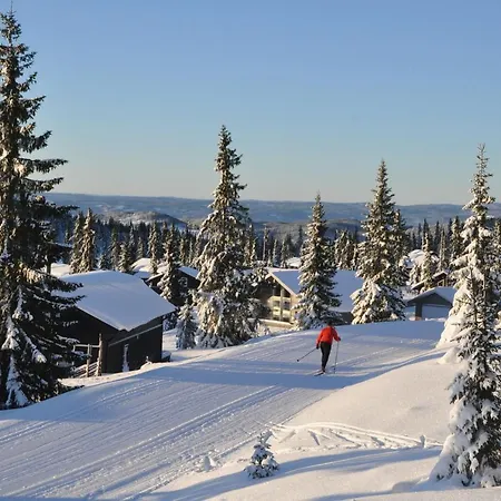 Feriehus Tores Hytte På Sjusjøen Sjusjoen
