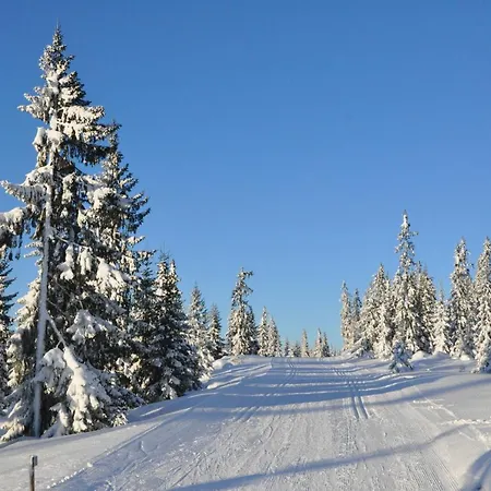 Tores Hytte På Sjusjøen
